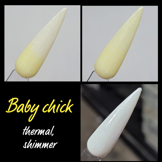 Baby chick  (thermal)